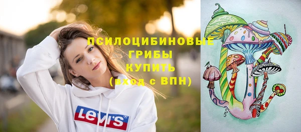молекула духа Алексин