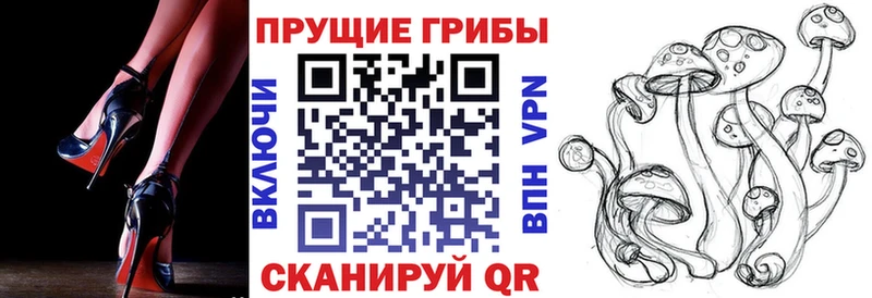 Галлюциногенные грибы ЛСД Гуково